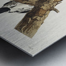 Red-Cockaded Woodpecker Metal print