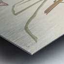 MacGillivrays Finch Metal print