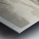 Roseate Spoonbill Metal print