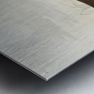 Roseate Spoonbill Metal print