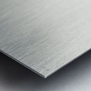 Prairie Titlark Metal print