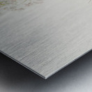 Tawny Thrush Metal print