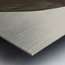 Fish Hawk or Osprey Metal print