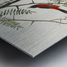 Orchard Oriole Metal print