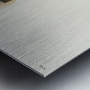 Great Carolina Wren Metal print