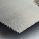 Rocky Mountain Plover Metal print