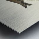 Brown Lark Metal print