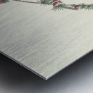 Purple Finch Metal print