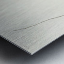 Hermit Thrush Metal print