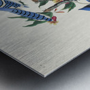 Blue Jay Metal print