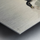 Little Auk Metal print