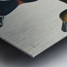 Ring-necked Duck Metal print