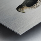 Le Petit Caporal Metal print