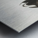 Brant Goose Metal print