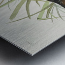 Sora or Rail Metal print