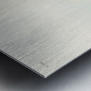 Western Duck Metal print