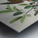 Lenaida Dove Impression metal