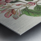 Bachmans Finch Metal print