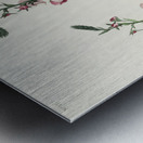 Chestnut-sided Warbler Metal print