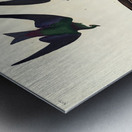 Bank Swallow and Violet-green Swallow Metal print