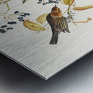 Rusty Grakle Metal print