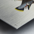 Rusty Grakle Metal print