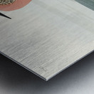 Red-breasted Sandpiper Metal print