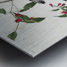 Downy Woodpecker Metal print