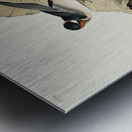 Republican or Cliff Swallow Metal print