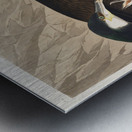 Common Cormorant Metal print