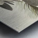 Semipalmated Snipe or Willet Metal print