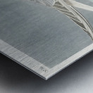 Sandwich Tern Metal print