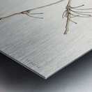 Snow Bird Metal print