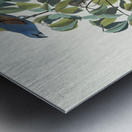 Blue Grosbeak Metal print