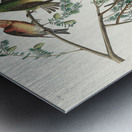 American Crossbill Metal print