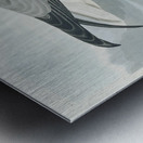 Fulmar Petrel Metal print