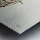 Little Owl Metal print