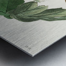 Swamp Sparrow Metal print