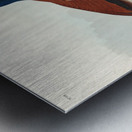 Ruddy Duck Metal print