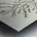 Orange-crowned Warbler Metal print