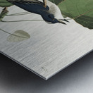 Tyrant Fly-catcher Metal print