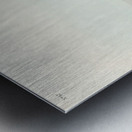 Red-breasted Snipe Metal print