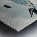 Kittiwake Gull Metal print