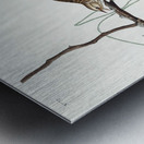 Savannah Finch Metal print