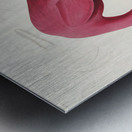 Pink flamingo Metal print