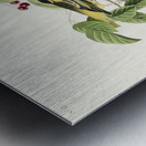 Carbonated Warbler Metal print