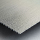 Purple Sandpiper Metal print