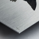 White-bellied Swallow Metal print