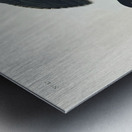 White-bellied Swallow Metal print