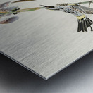 Yellow-crown Warbler Metal print